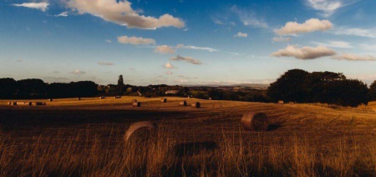 An Australian farm outback
