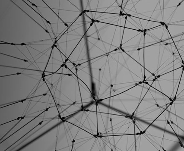 Web of connecting supporting lines