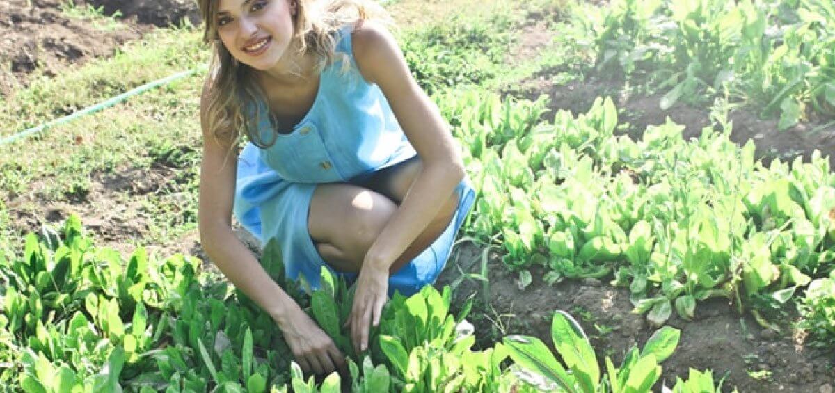 Young woman working in an agricultural farm