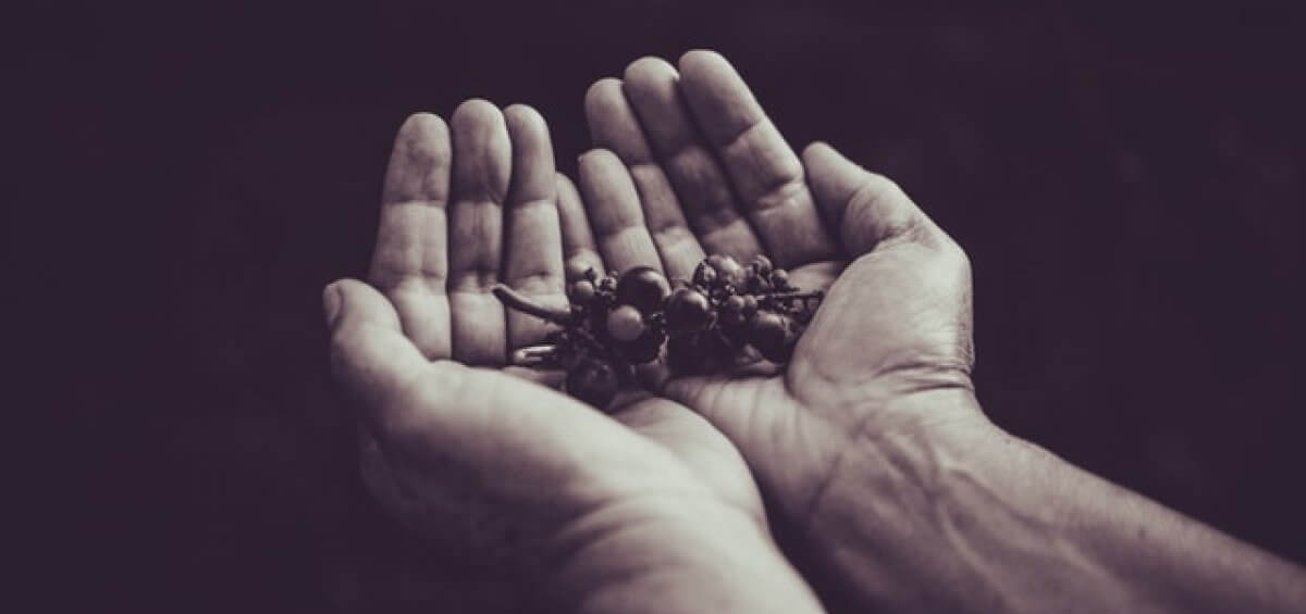 working holiday visa program