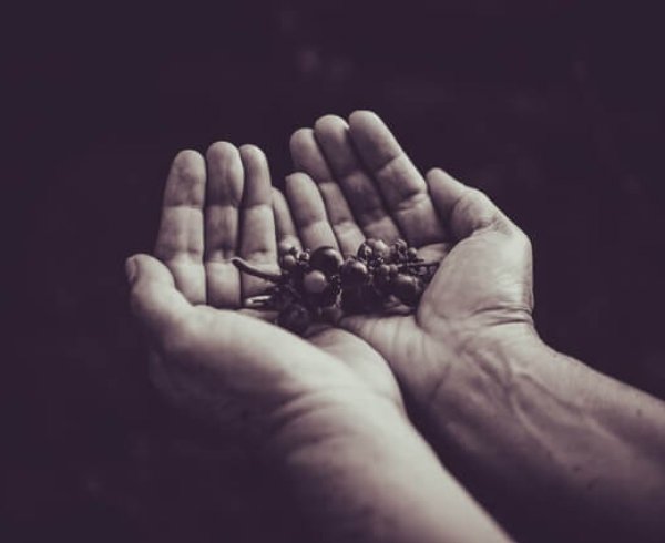 working holiday visa program