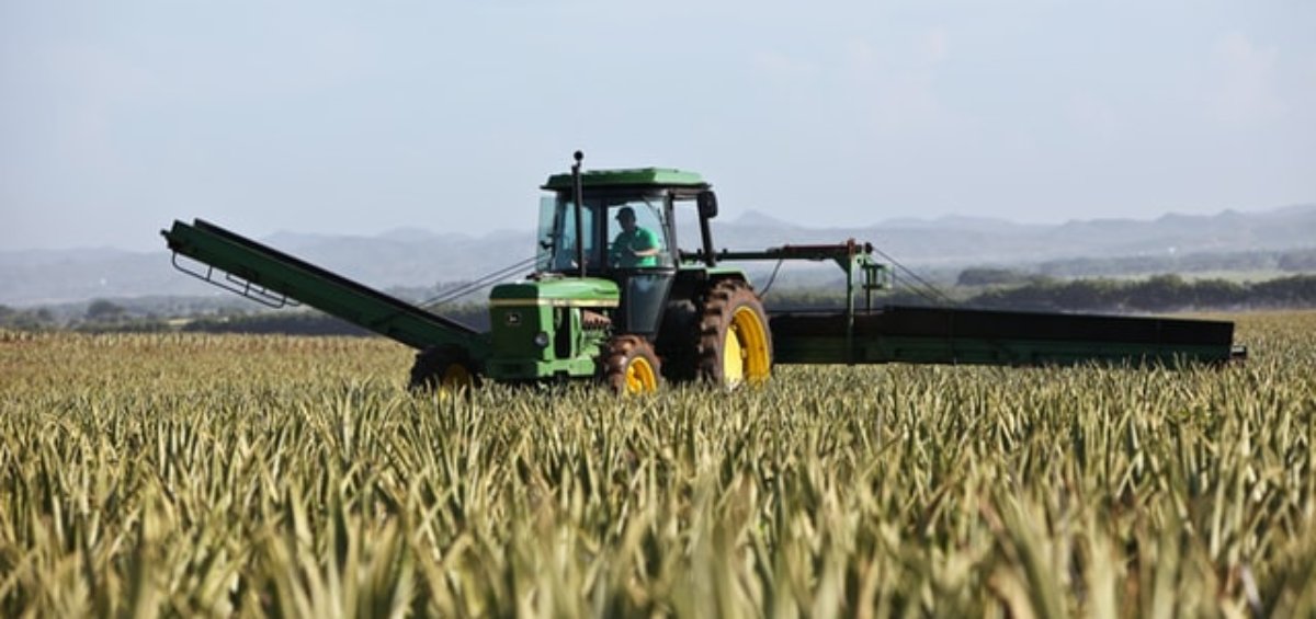 agriculture visa australia updates