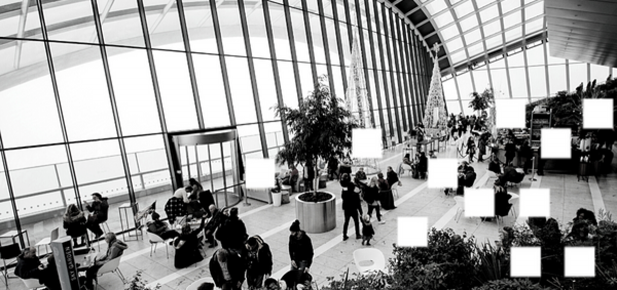 General Skilled Migration program comes back to life - Interstaff Australia