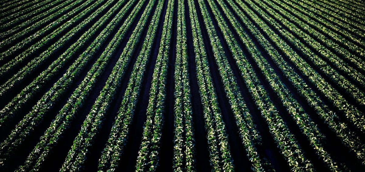 Designated regional areas priority