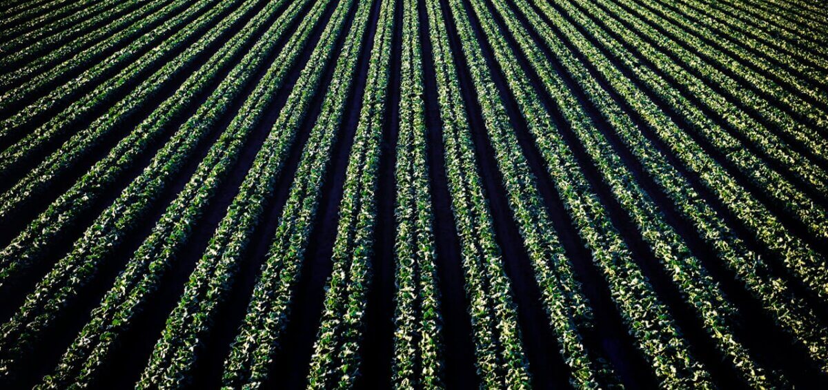 regional visa review