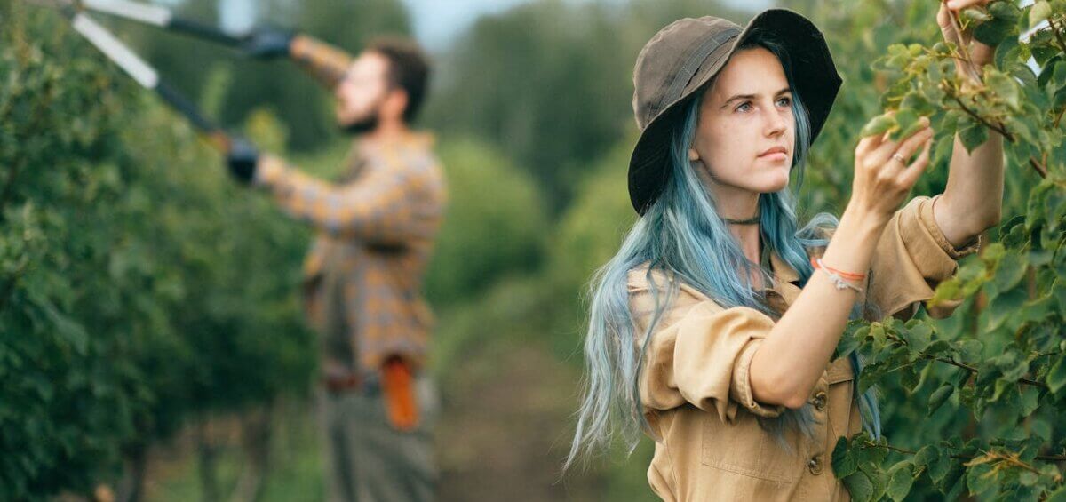 employing work and holiday makers